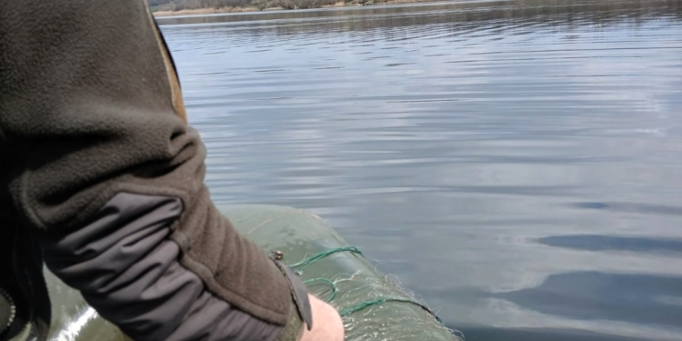 На Миколаївщині в РЛП «Приінгульський» вилучили 200 метрів браконьєрських сіток (ФОТО)