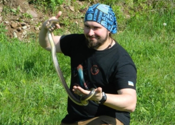 Що робити, якщо до квартири заповзла змія? Поради, які можуть врятувати життя (ФОТО, ВІДЕО)