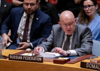 Росія в ООН захищала Іран в питанні обмеження судноплавства в Ормузькій протоці, а західні країни назвала «піратами»