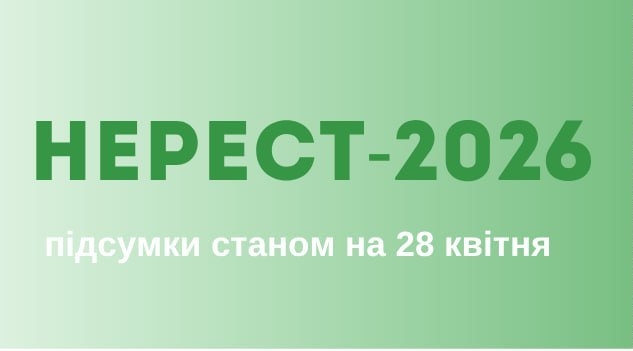 Нерест-2026: на Одещині та Миколаївщині зафіксовано 16 порушень, збитки рибним запасам – 275 тис. грн