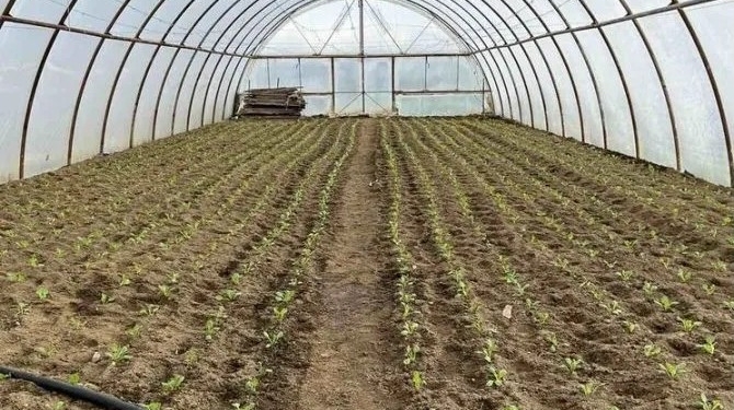 Фландрія та ФАО виділили $1 млн для відновлення фермерів Миколаївщини