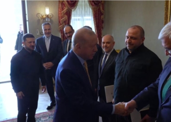 Зеленський обговорив з Ердоганом проєкти газової інфраструктури та можливості спільної розробки газових родовищ (ВІДЕО)