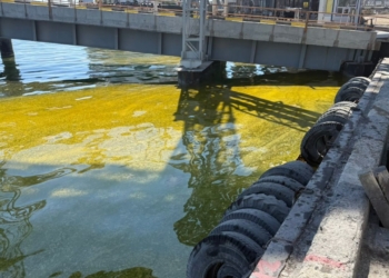 У Чорноморську після російських обстрілів тисячі тонн олії вилилися в ґрунт і море (ФОТО, ВІДЕО)