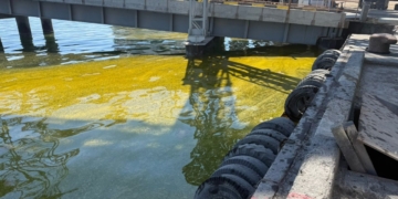 У Чорноморську після російських обстрілів тисячі тонн олії вилилися в ґрунт і море (ФОТО, ВІДЕО)