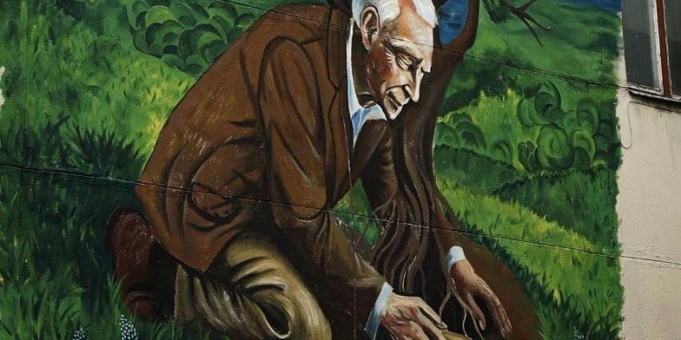 У Миколаєві створили мурал на честь озеленювача Вадима Сердцева (ФОТО)