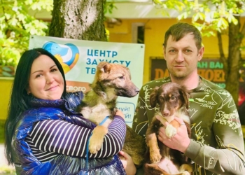 На вчорашній виставці-прилаштуванні у Миколаєві нові домівки знайшли 9 колишніх безхатніх тварин (ФОТО)