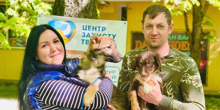 На вчорашній виставці-прилаштуванні у Миколаєві нові домівки знайшли 9 колишніх безхатніх тварин (ФОТО)