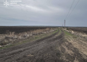 На Миколаївщині ставки, передані для риборозведення, осушили і засіяли. Суд все повернув, але дно вже забруднене (ФОТО)