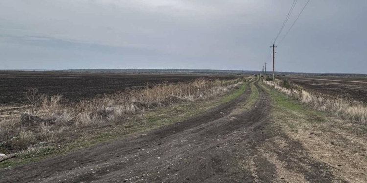На Миколаївщині ставки, передані для риборозведення, осушили і засіяли. Суд все повернув, але дно вже забруднене (ФОТО)