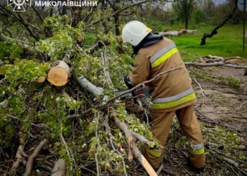 У Миколаєві буревій виривав величезні дерева. В області також (ФОТО)