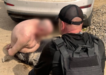 На Закарпатті поліція затримала озброєного викрадача жінки з 3-річною дитиною, який намагався вкрасти ще й власного онука і відстрілювався від правоохоронців (ФОТО)