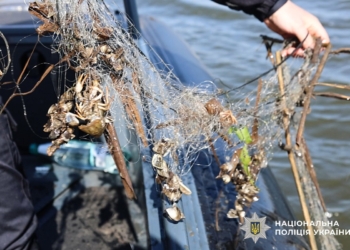 Поліцейські Миколаївщини посилили контроль за дотриманням правил рибальства – на Інгулі виявлено браконьєрські сітки (ФОТО, ВІДЕО)
