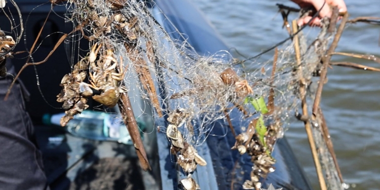Поліцейські Миколаївщини посилили контроль за дотриманням правил рибальства – на Інгулі виявлено браконьєрські сітки (ФОТО, ВІДЕО)