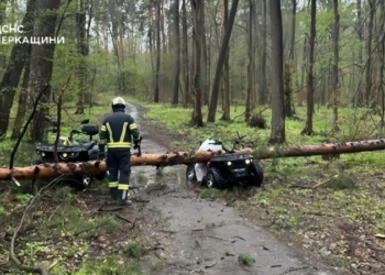 Негода в Україні: через падіння дерев загинули та постраждали люди