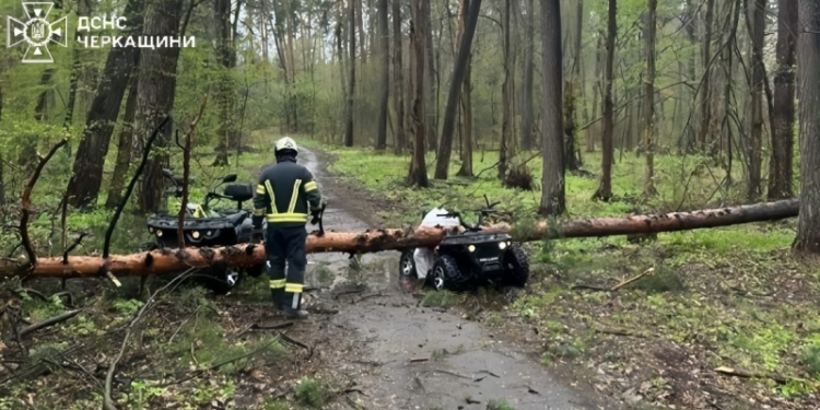 Негода в Україні: через падіння дерев загинули та постраждали люди