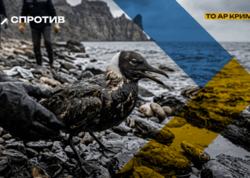 Екологічна катастрофа в Криму – мазутні плями нищать дику природу, – ЦНС