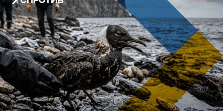 Екологічна катастрофа в Криму – мазутні плями нищать дику природу, – ЦНС