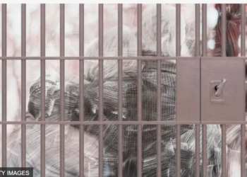 Як погане кіно – 86‑річна француженка вийшла заміж в США за кохання молодості і опинилася за гратами як нелегалка