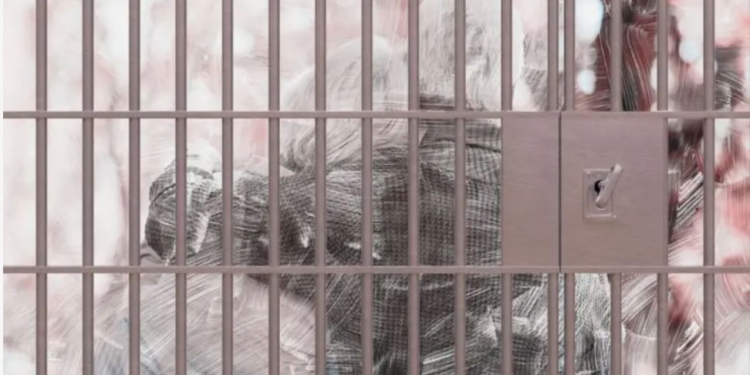 Як погане кіно – 86‑річна француженка вийшла заміж в США за кохання молодості і опинилася за гратами як нелегалка