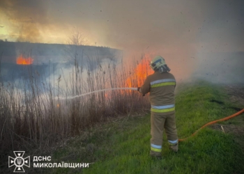Миколаївщина у вогні – горіли будинки та очерет