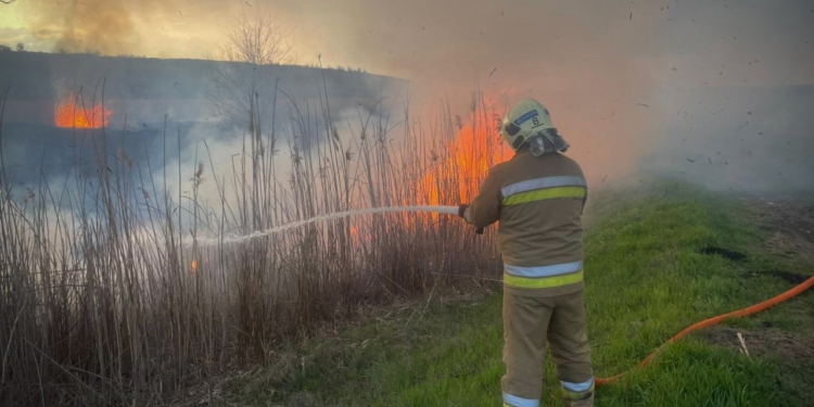 Миколаївщина у вогні – горіли будинки та очерет