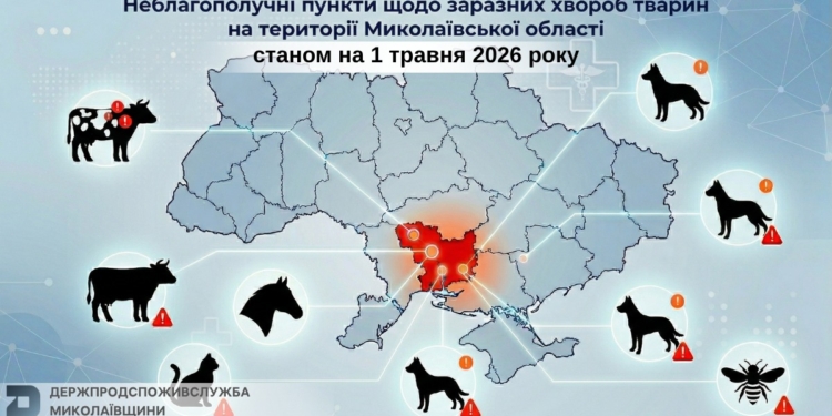 На Миколаївщині названо 8 пунктів, де хворіють тварини, – і це не тільки сказ