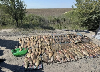 На Миколаївщині затримали трьох браконьєрів з майже 180 рибинами і одного – з 345 раками (ФОТО)