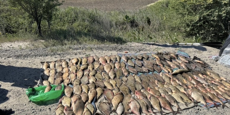 На Миколаївщині затримали трьох браконьєрів з майже 180 рибинами і одного – з 345 раками (ФОТО)