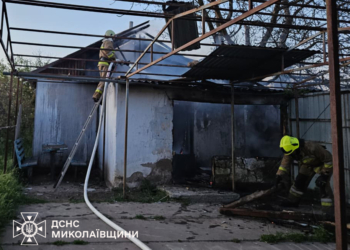 Поле, об’єкт та дах будівлі – які пожежі гасили протягом доби на Миколаївщині