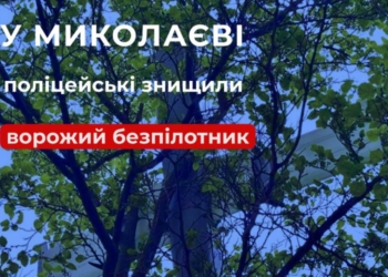 У Миколаєві на дереві виявили ворожий безпілотник