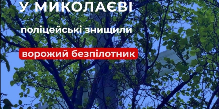 У Миколаєві на дереві виявили ворожий безпілотник
