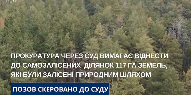 Прокуратура через суд вимагає віднести 117 га у двох районах Миколаєва до самозалісених земель