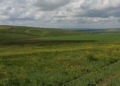 На Миколаївщині екологи виявили незаконне розорювання близько 6 га земель у межах ландшафтних заказників