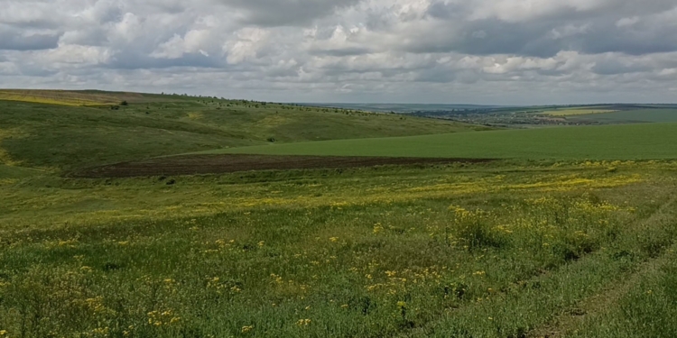На Миколаївщині екологи виявили незаконне розорювання близько 6 га земель у межах ландшафтних заказників