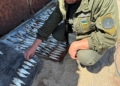 Браконьєр на Миколаївщині під час нересту виловив 206 рибин – сума шкоди перевищила 700 тис.грн. (ФОТО)