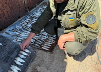 Браконьєр на Миколаївщині під час нересту виловив 206 рибин – сума шкоди перевищила 700 тис.грн. (ФОТО)