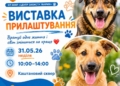 Цієї неділі в Миколаєві – чергова виставка-прилаштування безхатніх тварин (ФОТО)