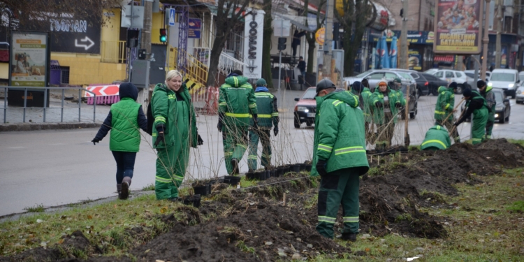 У Миколаєві визначили парки та сквери, де проходитиме акція «Подаруй дерево місту»