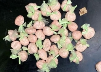 Миколаївська поліція викрила наркоторговців, які продавали психотропи в 2 областях (ФОТО)
