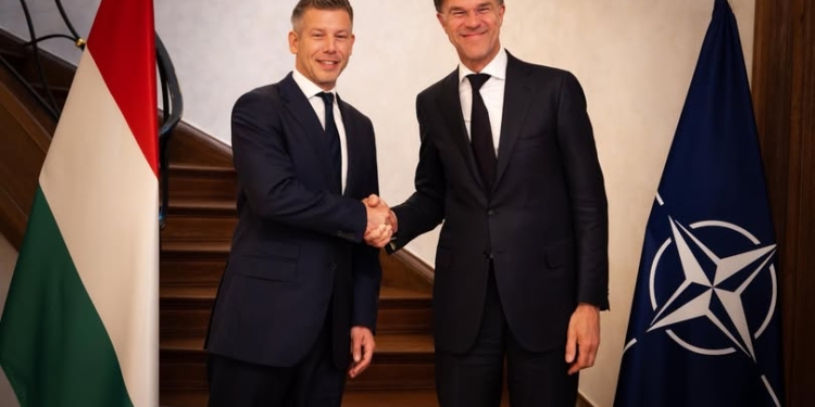 Прем’єр Угорщини Петер Мадяр зустрівся з Рютте і попередив, що зброї та техніки Україні не дасть