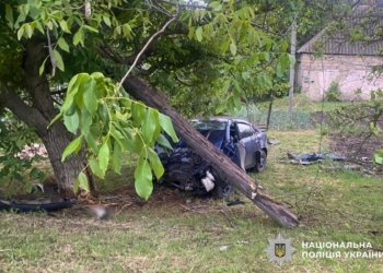 У ранковому ДТП на Миколаївщині загинула пасажирка та травмований водій легковика (ФОТО)