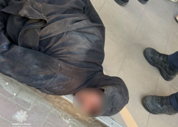 Вбив собаку – у Миколаєві поліцейські затримали чоловіка за підозрою у жорстокому поводженні з твариною