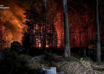 У Чорнобильській зоні відчуження триває ліквідація масштабної лісової пожежі – вогонь пройшов 1200 га (ФОТО)