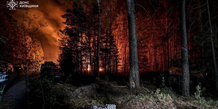 У Чорнобильській зоні відчуження триває ліквідація масштабної лісової пожежі – вогонь пройшов 1200 га (ФОТО)