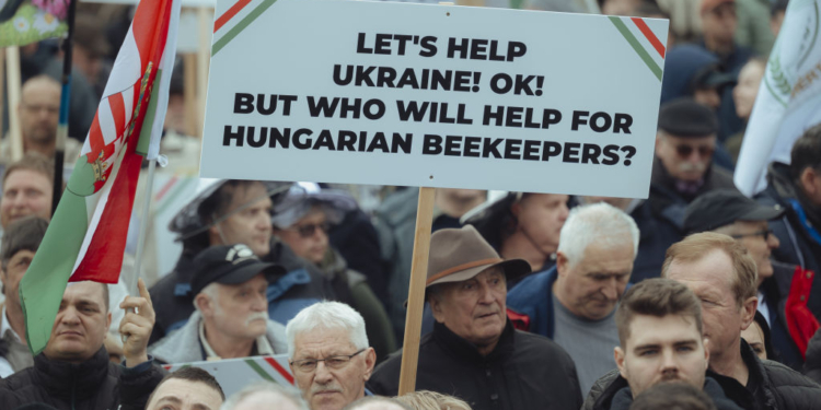Угорщина відновлює заборону на імпорт продуктів з України – скасування назвали помилкою