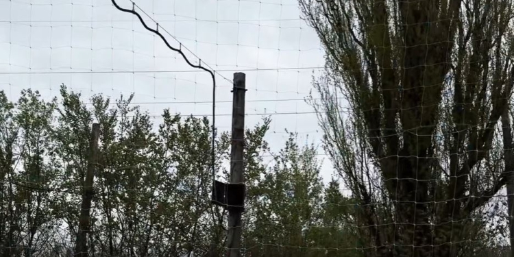 В Україні з початку року вже більше 820 км доріг захистили антидроновими сітками, – Федоров (ВІДЕО)