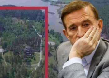 Прокуратура Київщини повернула державі ще 10 гектарів лісу, пов’язаних із структурами Медведчука