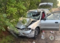 ДТП на Миколаївщині  – біля Себине Hyundai вбив молодого чоловіка