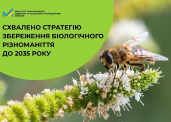 В Україні схвалили Стратегію збереження біологічного різноманіття на період до 2035 року