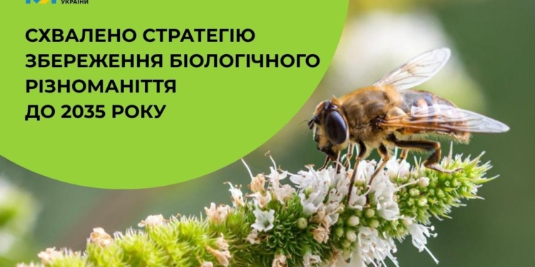 В Україні схвалили Стратегію збереження біологічного різноманіття на період до 2035 року